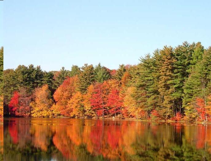 Il colori tipici della stagione del fall foliage in Massachusetts (PH massvacation)